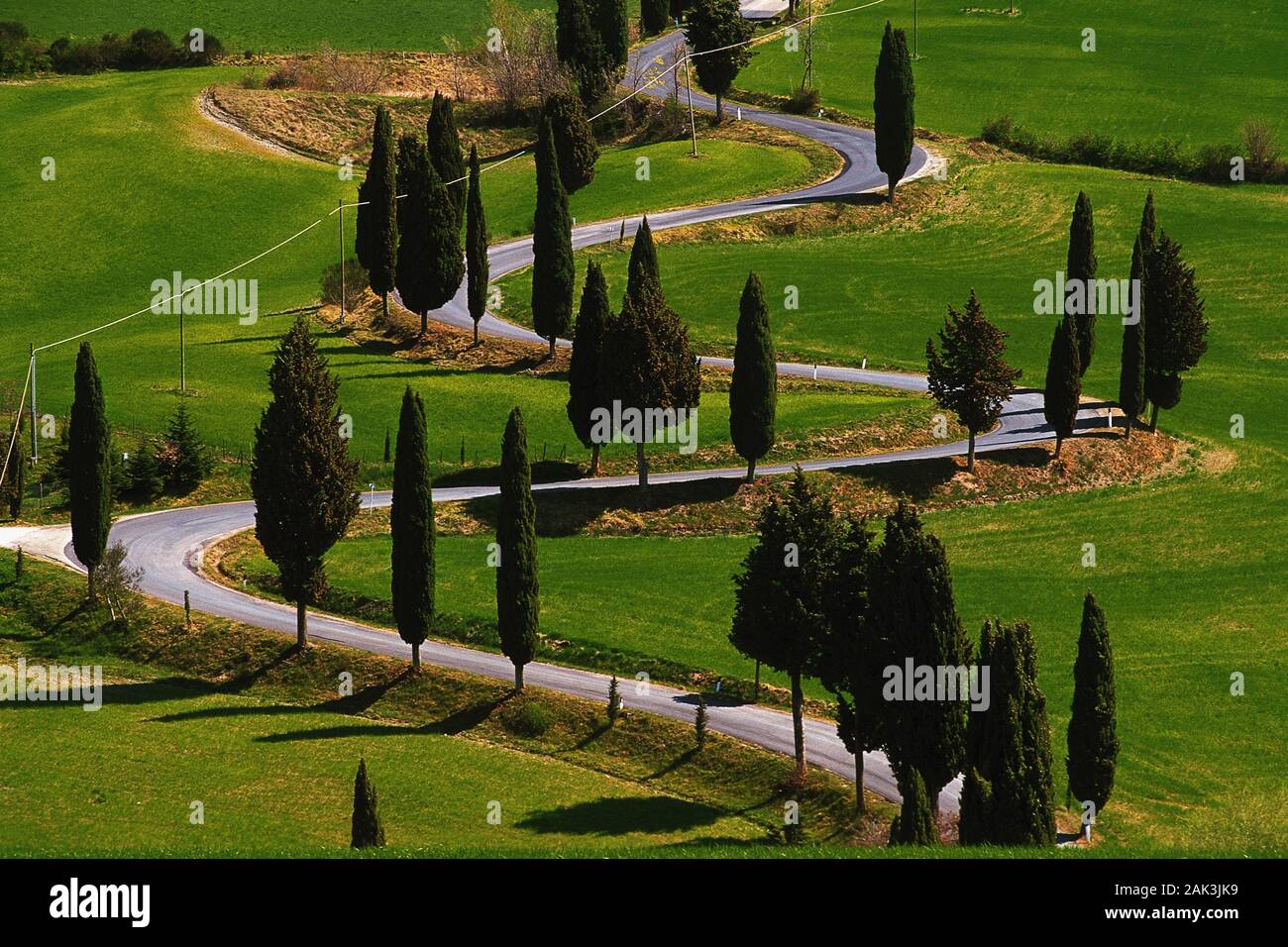 Besonders im Süden der Toskana, Italien, wie hier bei Montepulciano, trifft man oft Cypress Alleen entlang der schmalen Nebenstraßen, die Wou Stockfoto