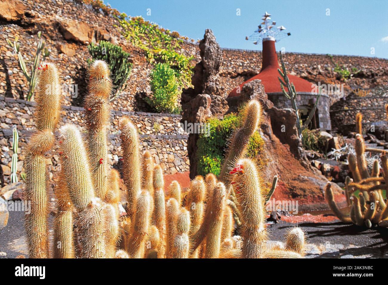 Am Ortsrand von Guatiza auf der spanischen Insel Lanzarote ist der Jardin de Cactus. Die Kakteen Park wurde von der lokalen Künstler Cesar Manr erstellt Stockfoto