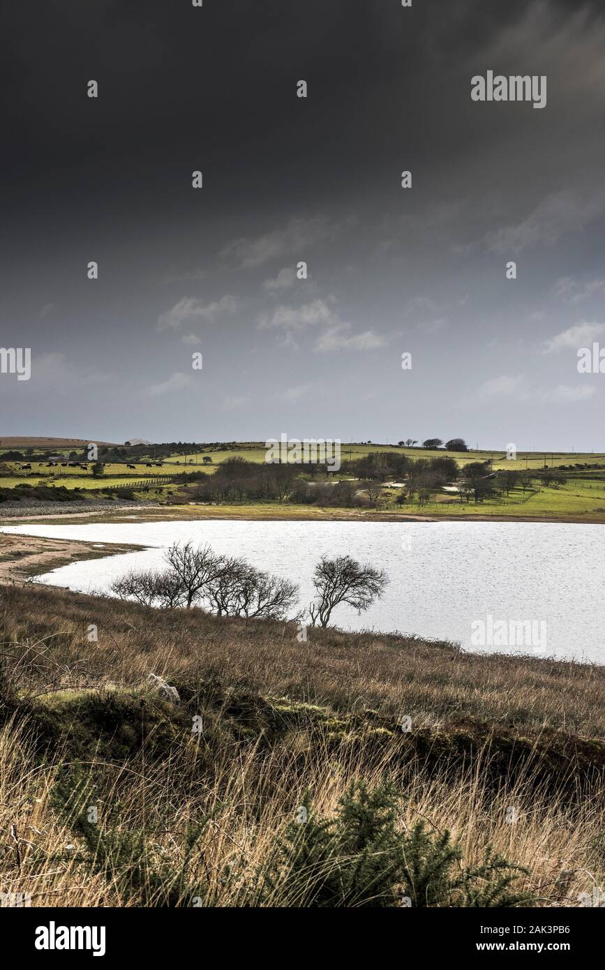 Die zerklüftete Landschaft rund um Colliford See am Bodmin Moor in Cornwall. Stockfoto