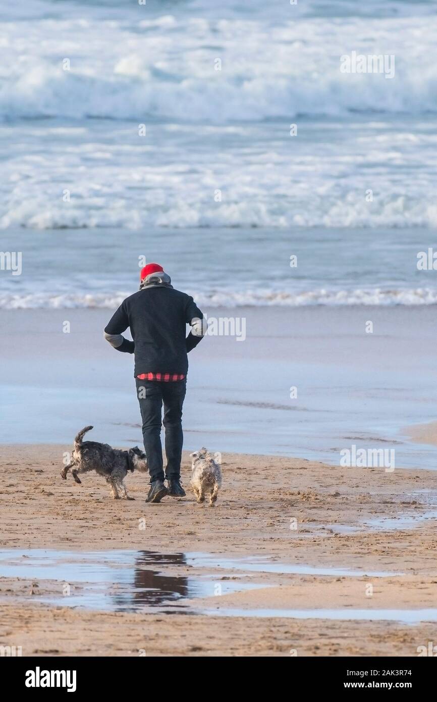 Ein Hund Walker und seine Hunde auf den Fistral Beach in Newquay in Cornwall. Stockfoto