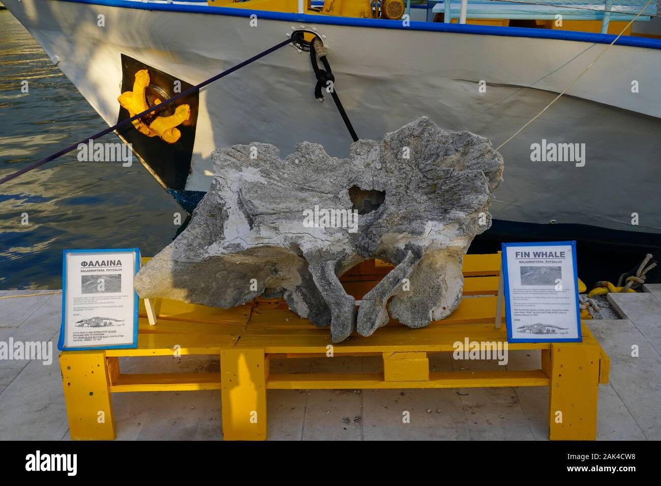Finnwale Wirbelsäule Knochen auf den Hafen von Argostoli auf der griechischen Insel Kefalonia, Ionische Meer, Griechenland Stockfoto