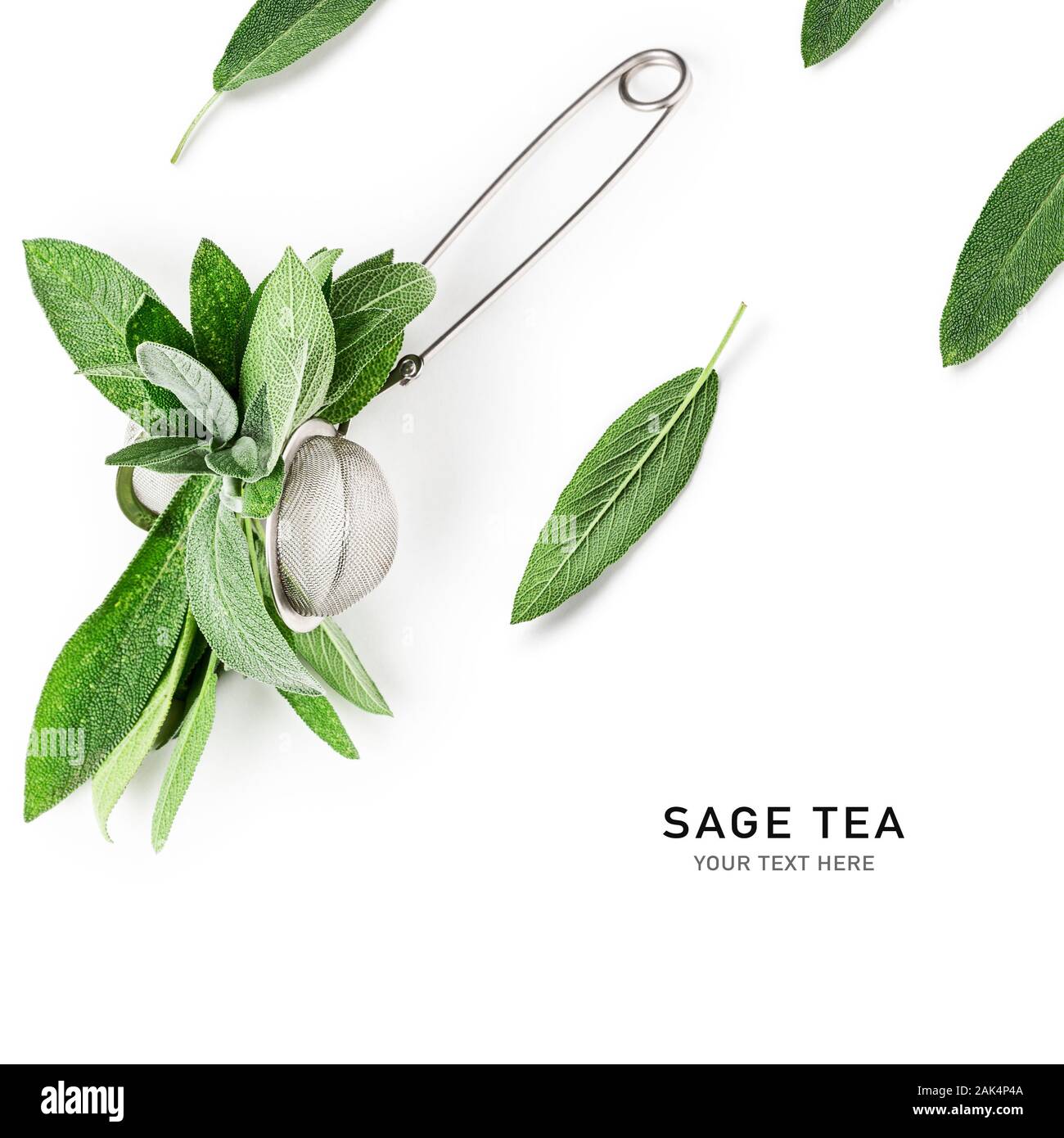 Salbei Kräutertee. Frische Salbeiblätter und Teesieb Anordnung und kreative Gestaltung auf weißem Hintergrund. Kräutermedizin Konzept. Ansicht von oben, f Stockfoto