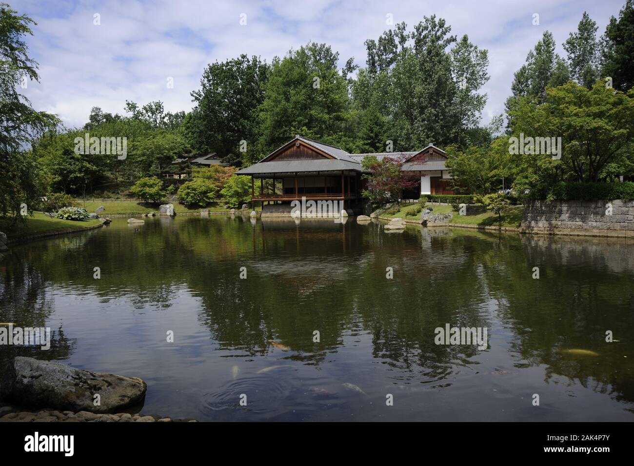 Japanischer Koi Karpfen Stockfotos und bilder Kaufen Alamy