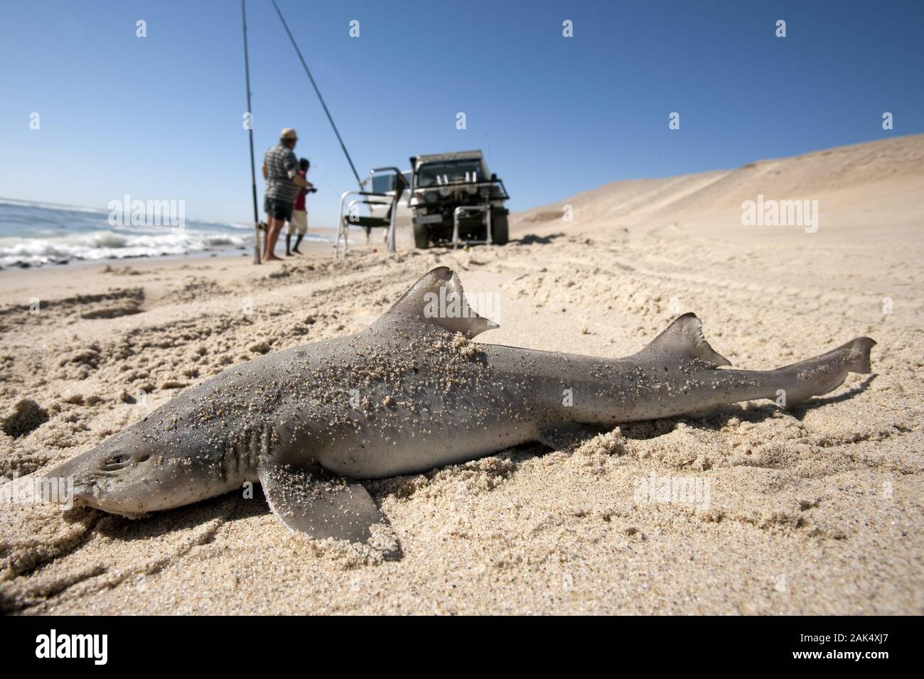 Coast National Park: Angler am Strand der Skelettküste (Skelettküste), Namibia | Verwendung weltweit Stockfoto