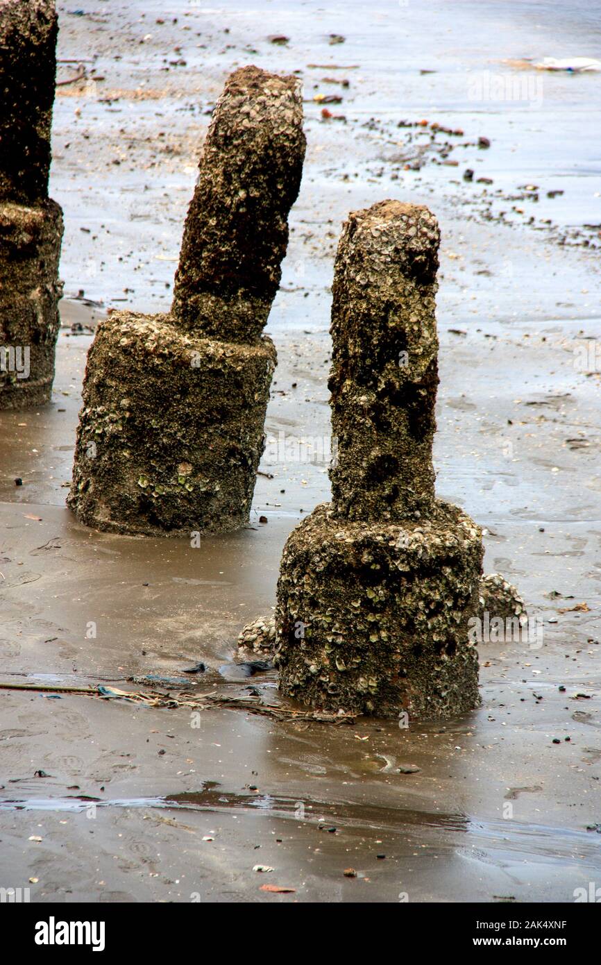 Alte überwucherte Anlegegräben am verschmutzten Strand von Conakry, Guinea, Westafrika Stockfoto