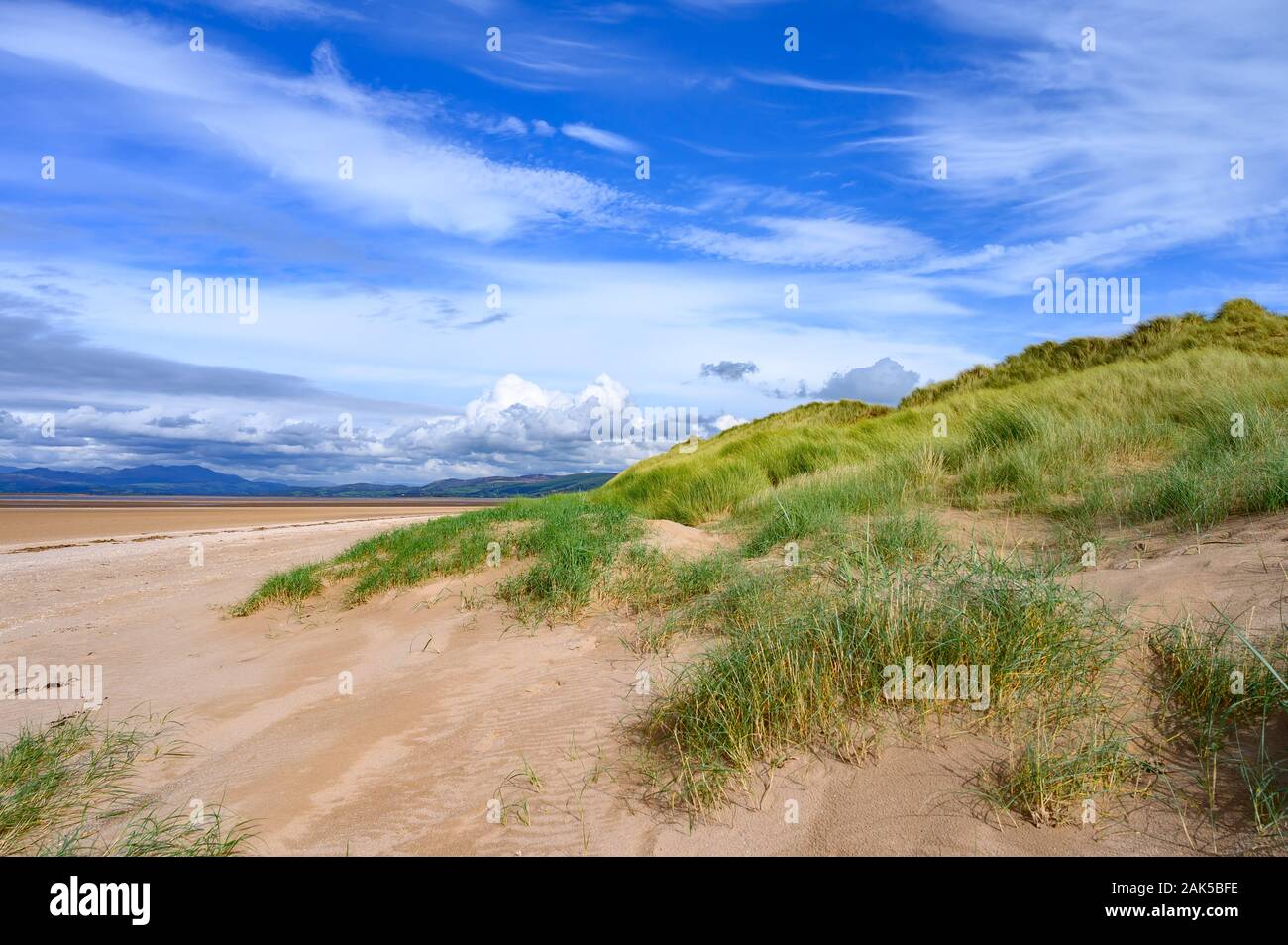 Sandscale Haws Küsten finden, Kirkby in Ulverston, Cumbria Stockfoto