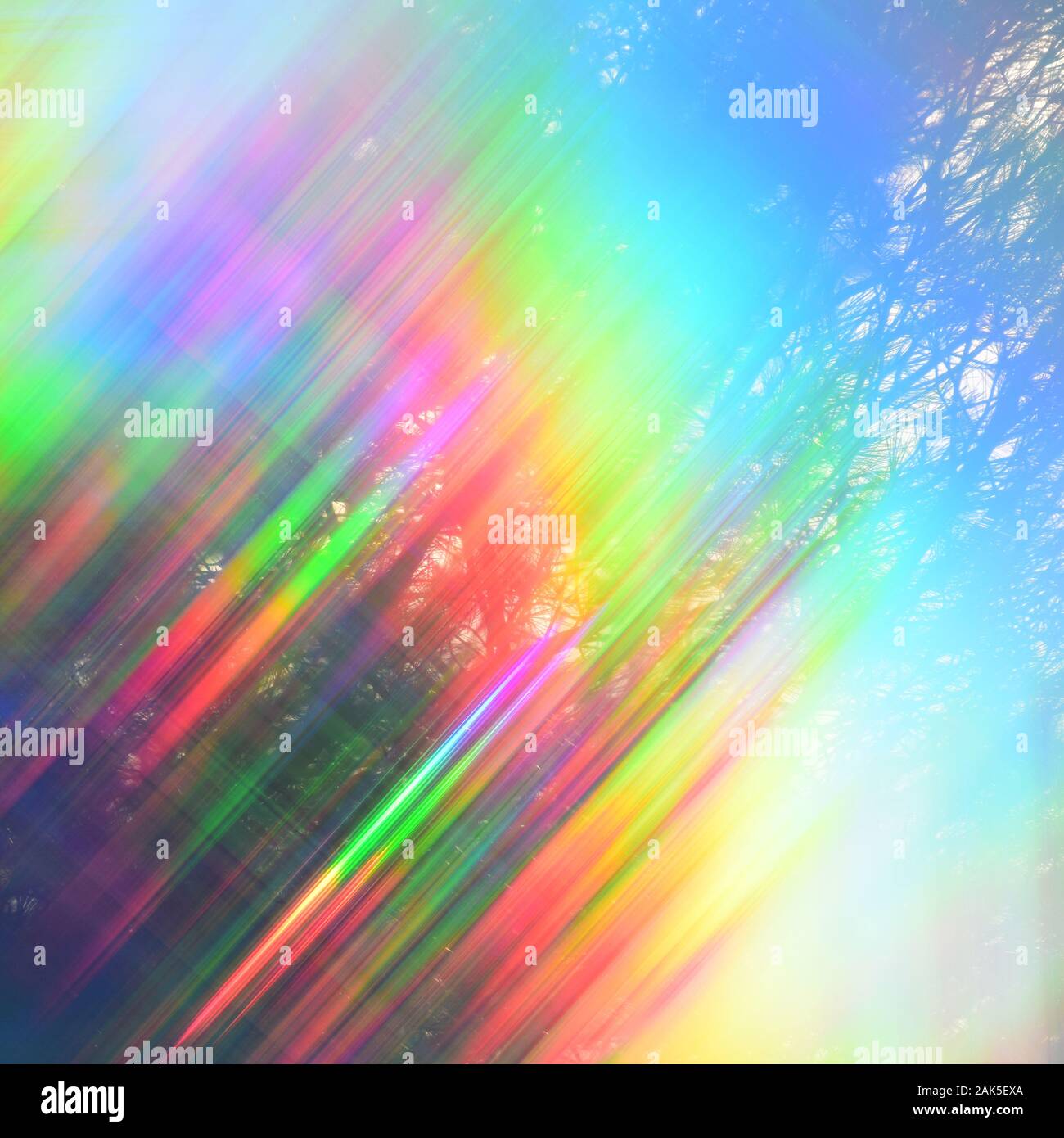 Hell irisierend haze Spektrum Farbe Reflexionen durch Pine Tree Branches. Stockfoto