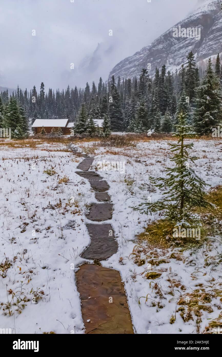 Trail führt zu Elizabeth Parker Hütte an einem kalten Tag im September in den Lake O'Hara Bereich der Yoho National Park, British Columbia, Kanada Stockfoto