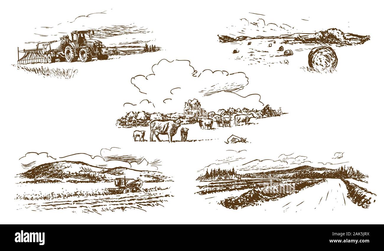 Landwirtschaftliche Landschaft Landschaft, von Hand gezeichnete Illustrationen (Vektor) Stock Vektor