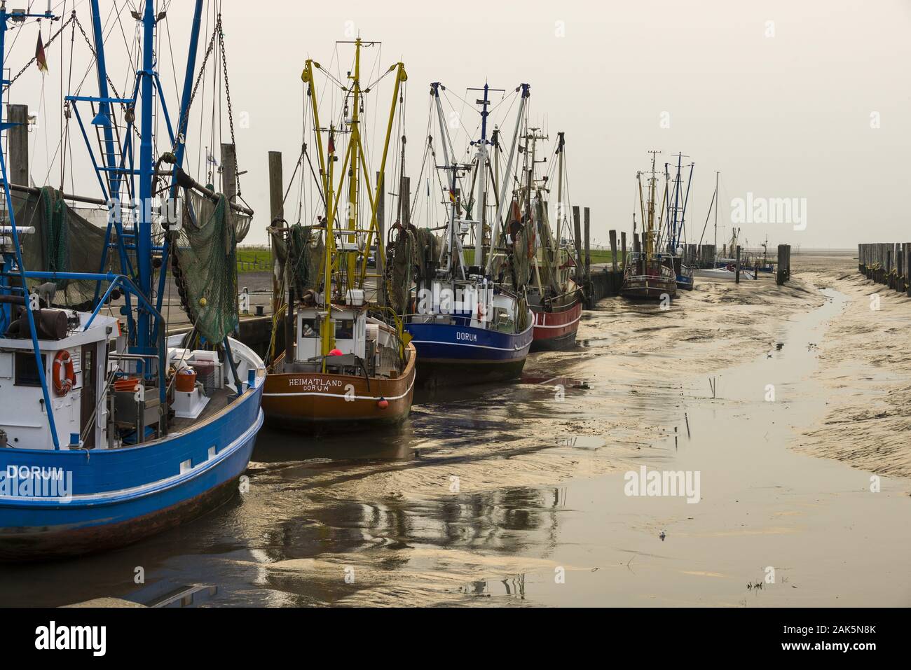 Dorum-Neufeld: Fischkutter bei Ebbe im Hafen, Elbe und Weser | Verwendung weltweit Stockfoto