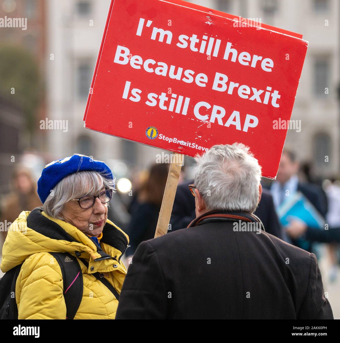 London, Großbritannien 7. Januar 2020 Pro und Anti brexit Demonstranten vor dem Parlamentsgebäude Credit Ian DavidsonAlamy leben Nachrichten Stockfoto