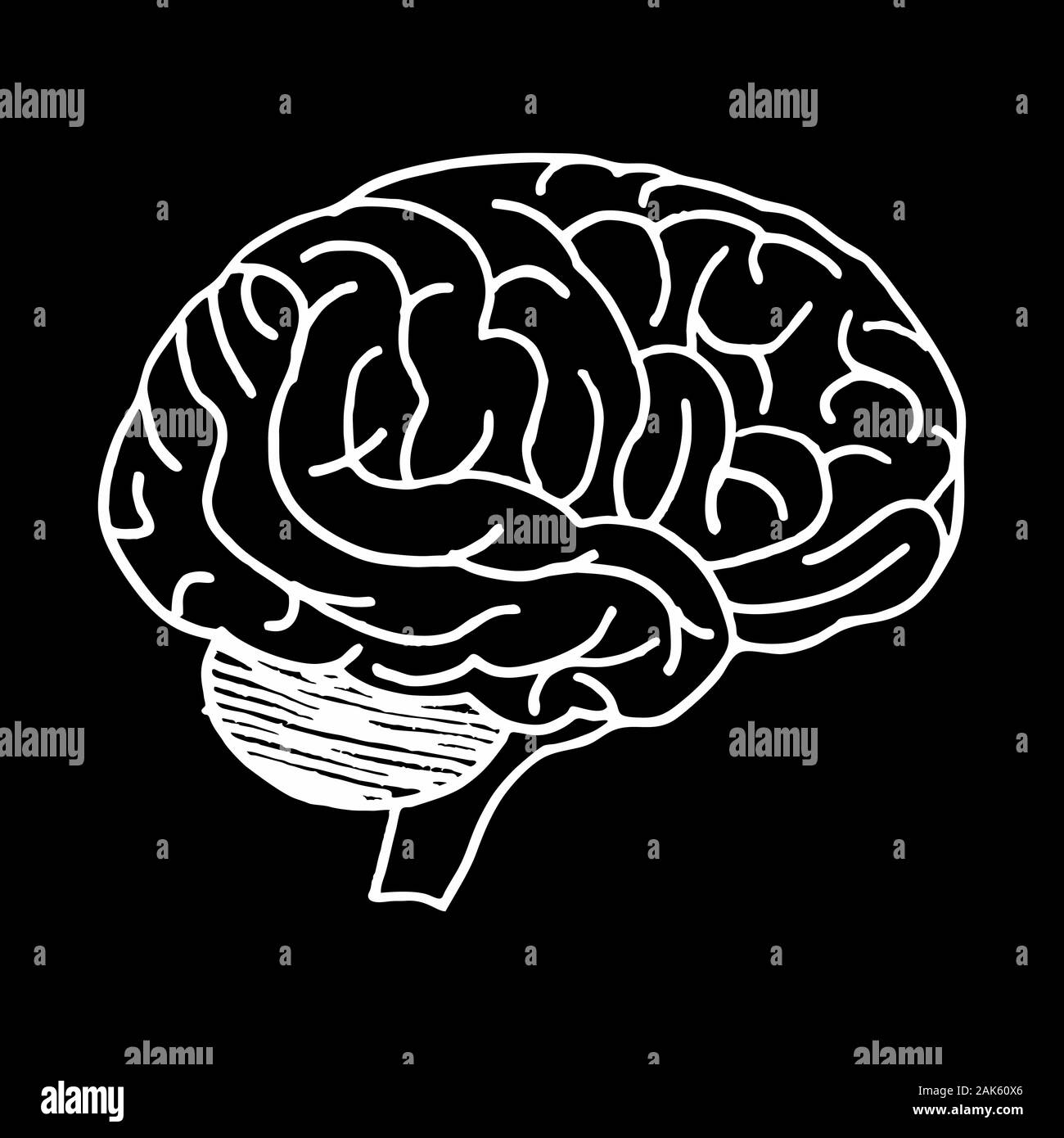Gehirn freehand Illustration Stock Vektor