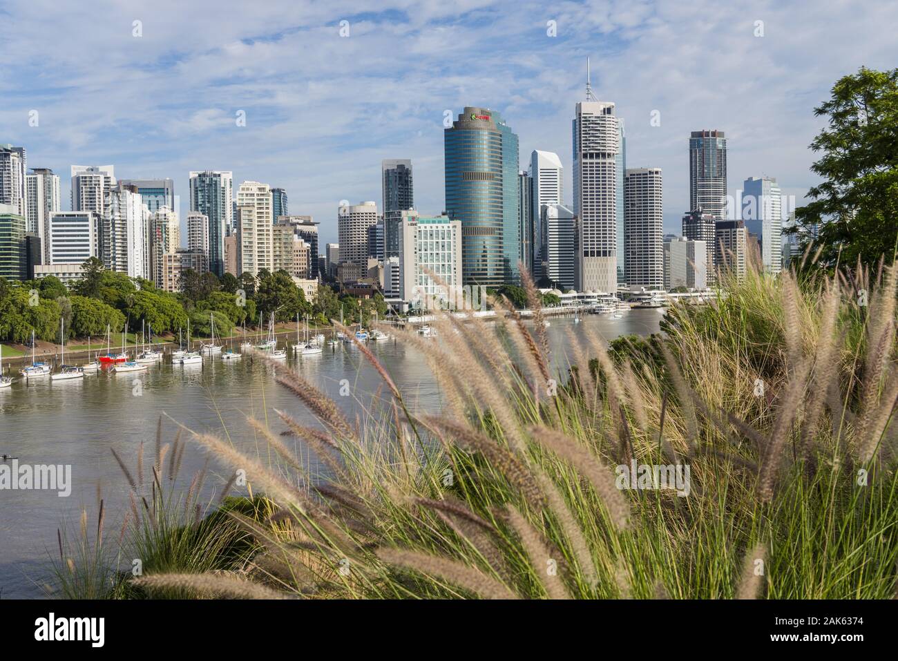 Queensland / Brisbane: Blick vom Kangaroo Point Cliffs Park in die Stadt, Australien Osten | Verwendung weltweit Stockfoto