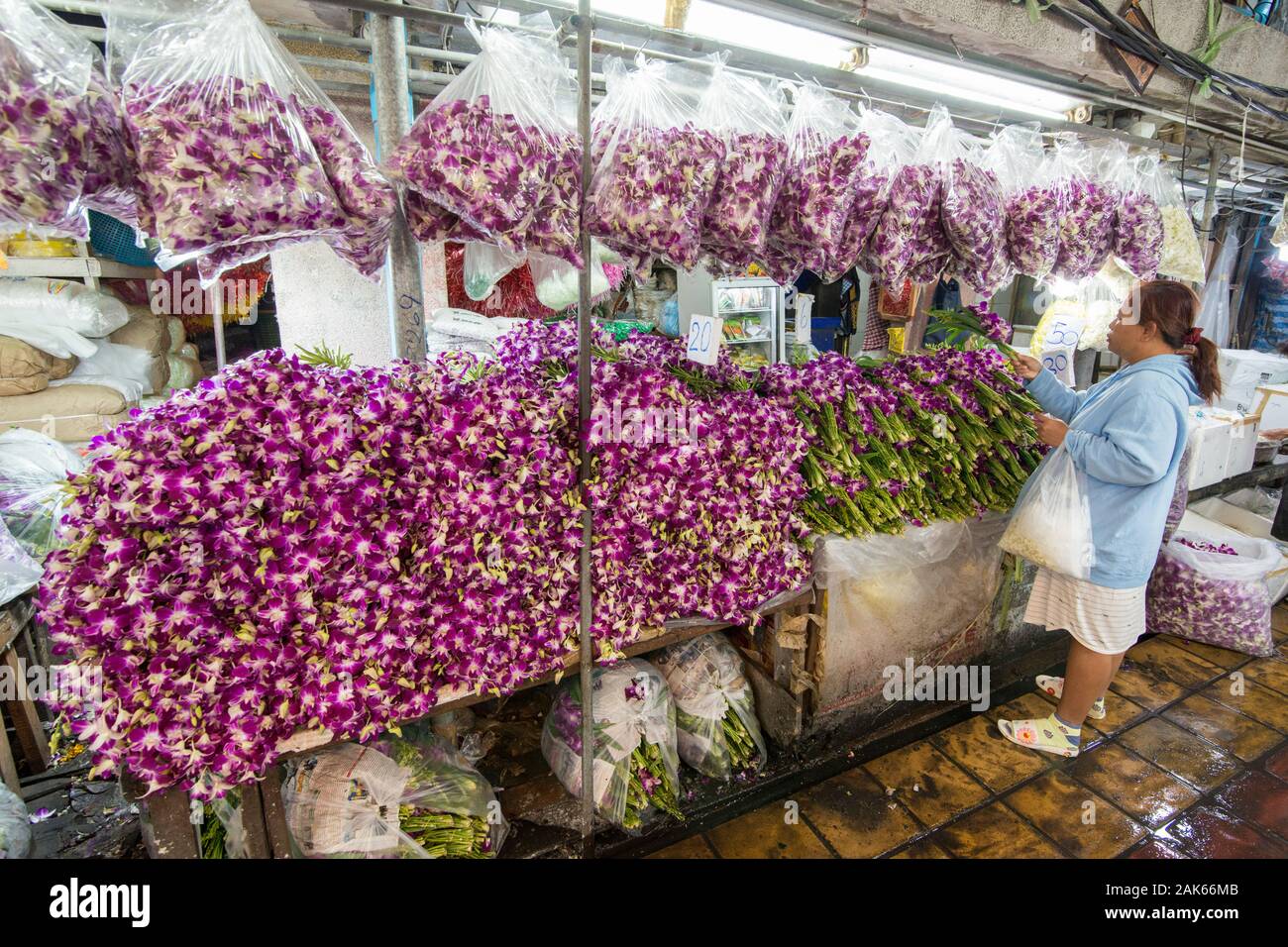 Frische Blumen auf den Blumenmarkt an der Tha Klang Markt in Bangkok in Thailand im südlichsten Asien. Thailand, Bangkok, November 2019 Stockfoto