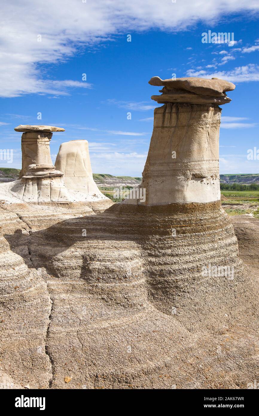 Alberta: Hoodoos (erodierte Sandsteinformationen) in Drumheller Valley, Kanada Westen | Verwendung weltweit Stockfoto