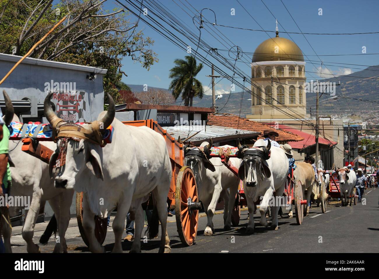 Provinz San Jose: Dia Nacional del Boyero (Tag des Ochsenwagenfahrers), farbenfrohe Ochsenwagenparade vom Stadtzentrum San Antonio de Escazu zur Igles Stockfoto