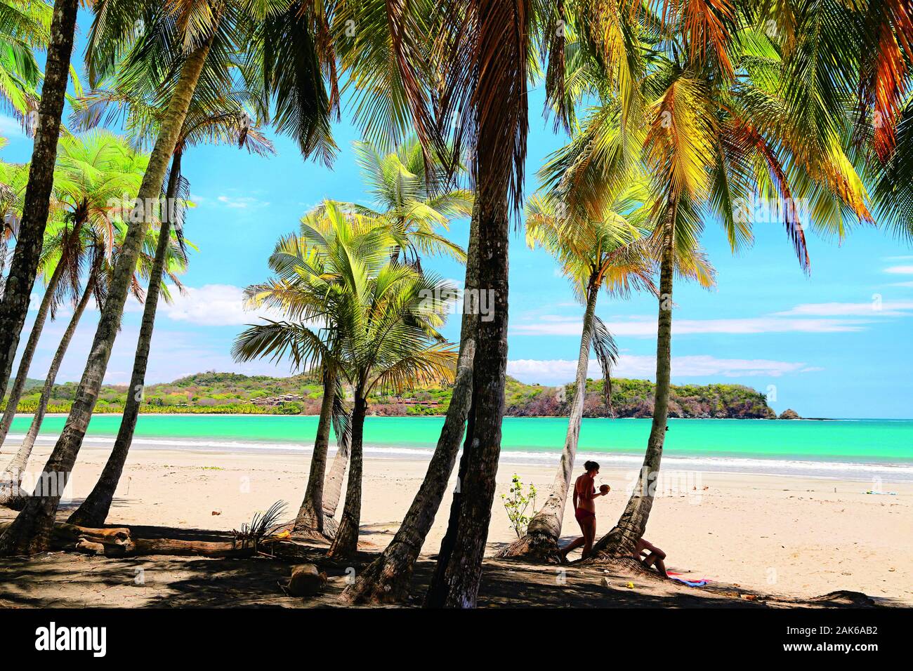 Guanacaste: Palmenstrand an der Playa Carillo, Costa Rica | Verwendung weltweit Stockfoto