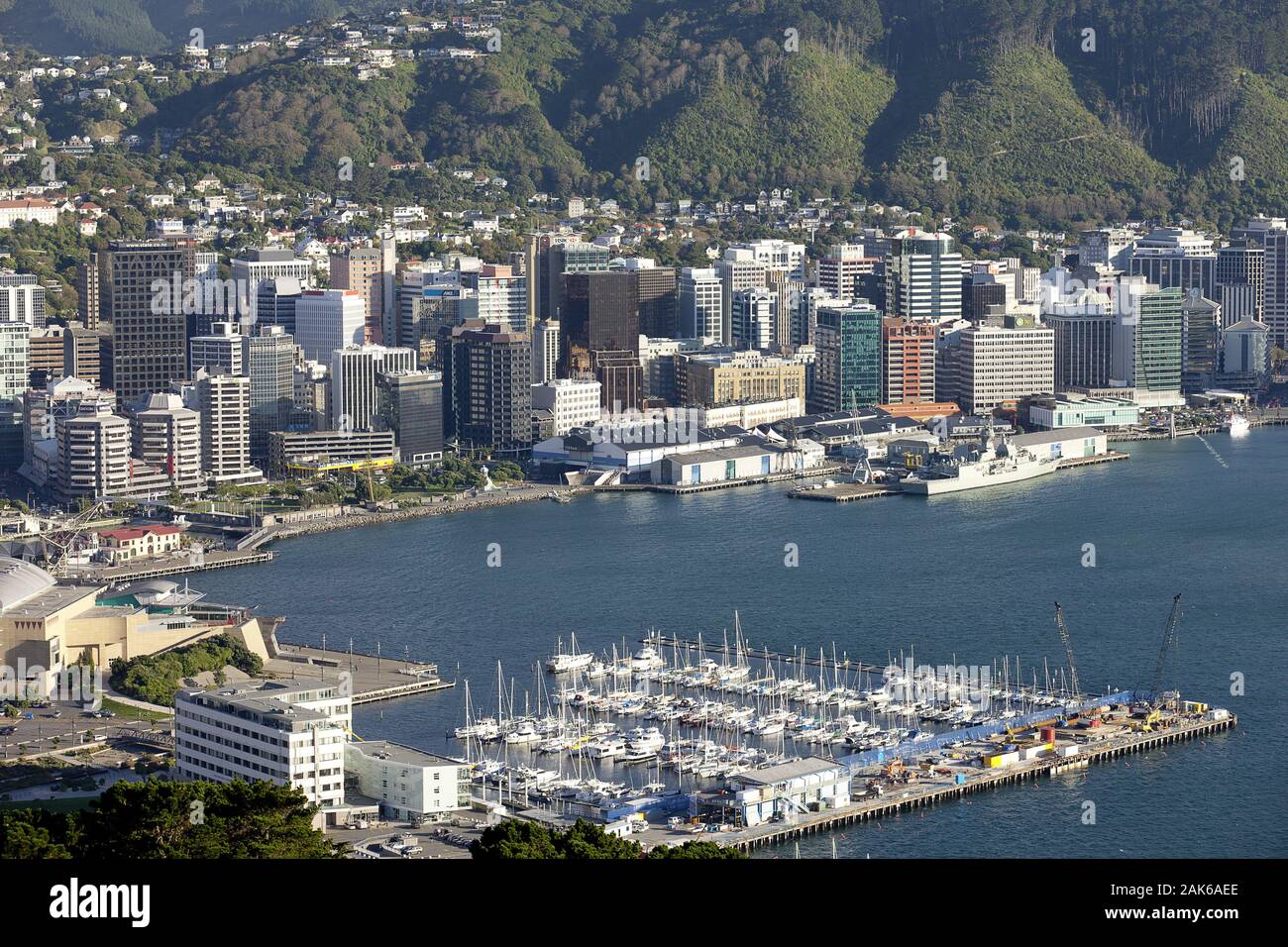 Nordinsel/Wellington: Stadtansicht von Wellington City, Blick vom Victoria Aussichtspunkt auf Hafen und Stadt, Neuseeland | Verwendung weltweit Stockfoto