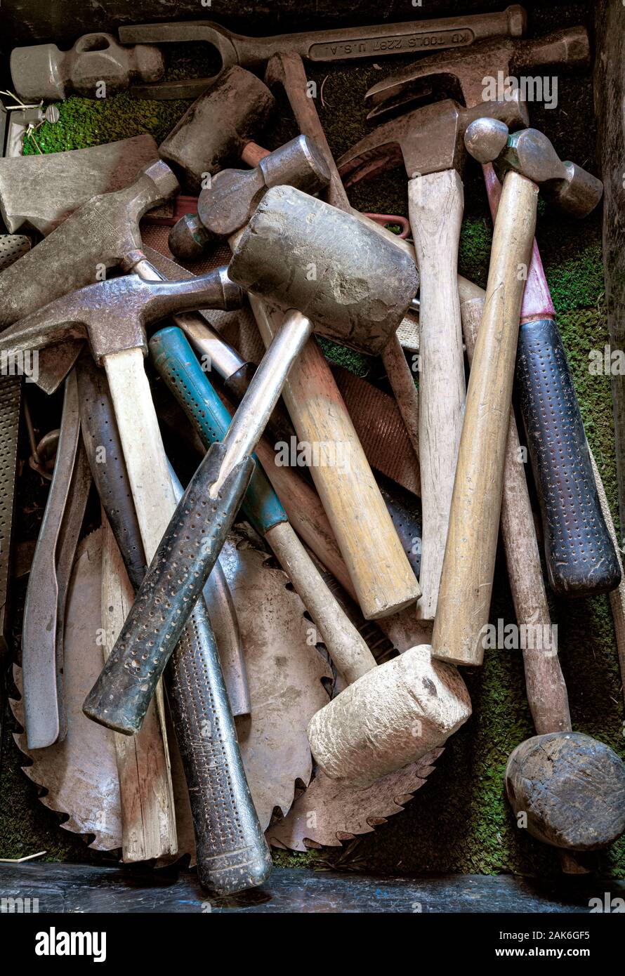 WY 04128-00 ... WYOMING - Werkzeug cabnet voll der Hammer in der Scheune an der Willow Creek Ranch. Stockfoto