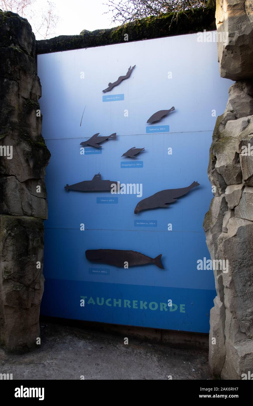 Tiere, Tiere und Landschaften im Zoo Frankfurt am Main Deutschland Stockfoto