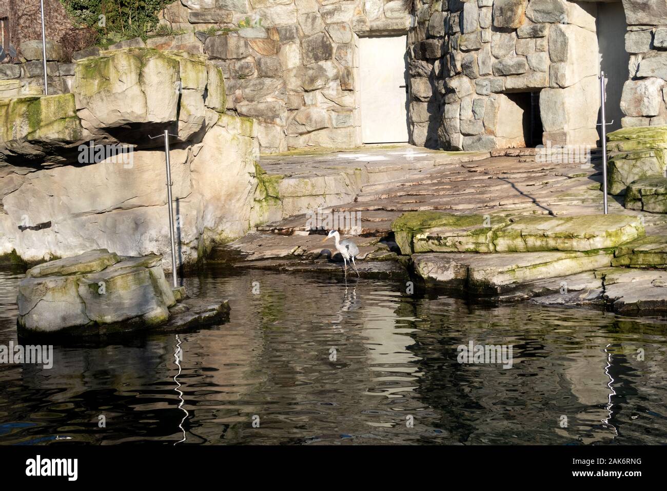 Tiere, Tiere und Landschaften im Zoo Frankfurt am Main Deutschland Stockfoto