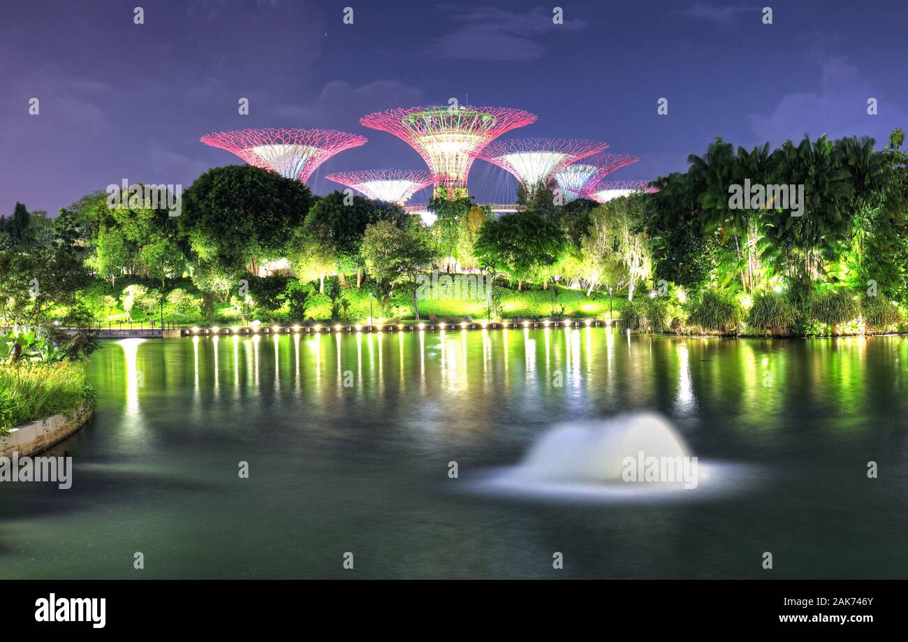 Singapur, Marina Bay bei Nacht - Super Baum mit Springbrunnen im Garten Stockfoto