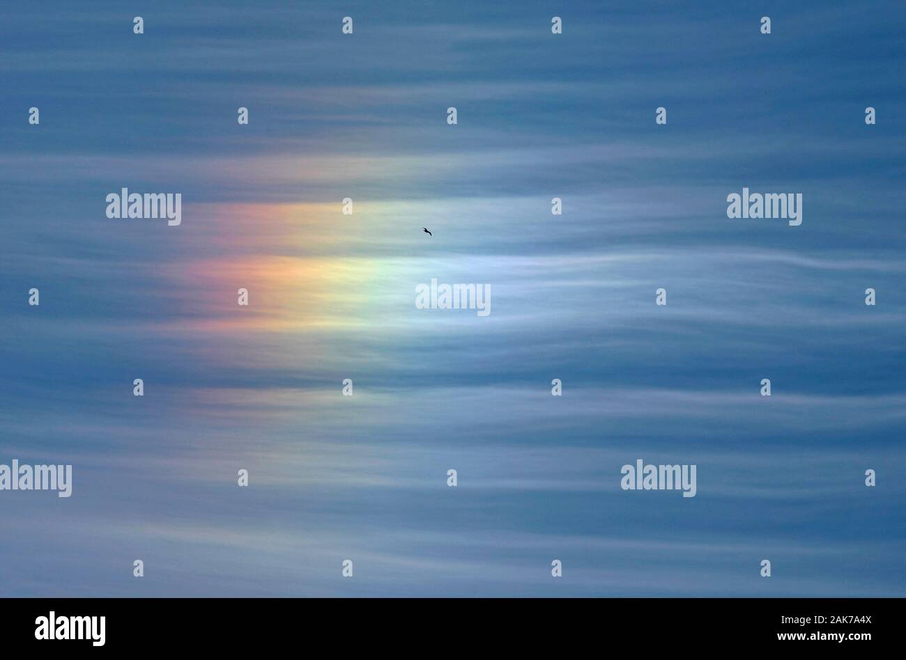 Ein Parhelion, ein Sundog oder eine Mock Sun in den Cirrostratus Clouds verleihen den Sky Rainbow Farben Stockfoto