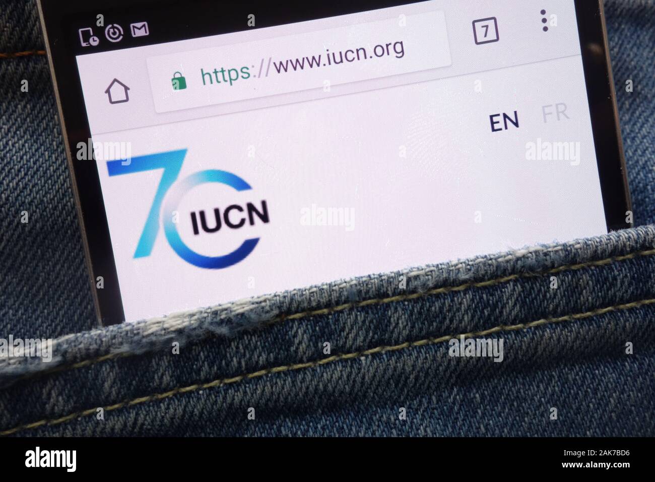 IUCN (Internationale Union für die Erhaltung der Natur) Website angezeigt auf dem Smartphone in Jeans Tasche versteckt Stockfoto