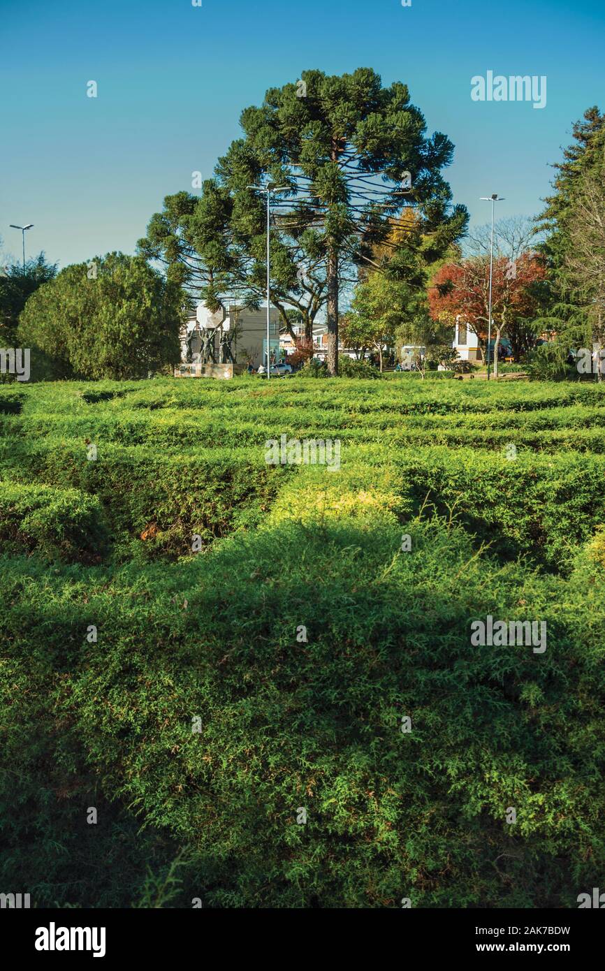 Labyrinth der immergrünen Sträucher in einem bewaldeten Garten an einem sonnigen Tag bei Nova Petrópolis. Eine Stadt, die von deutschen Einwanderern im südlichen Brasilien gegründet. Stockfoto