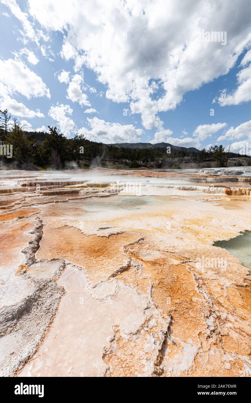 Terrassen bei Mammoth Hot Springs, Yellowstone National Park, Wyoming, USA Stockfoto