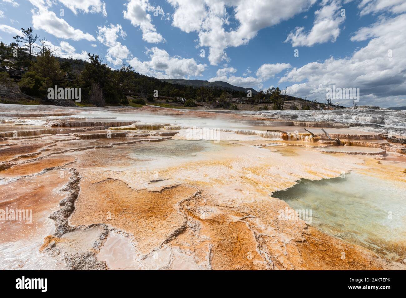 Terrassen bei Mammoth Hot Springs, Yellowstone National Park, Wyoming, USA Stockfoto