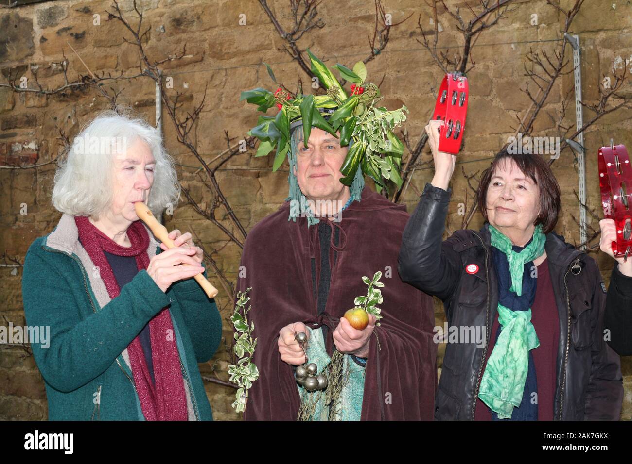 Newcastle upon Tyne, UK, 7. Jan 2020, Der Grüne Mann einen Toast heben oder 'wassail" an die Obstbäume in Jesmond. Er ist ein heidnisches Symbol die im Frühjahr kündigt nach einem langen Winter und die Erneuerung der üppigen Vegetation, Credit: David Whinham/Alamy leben Nachrichten Stockfoto