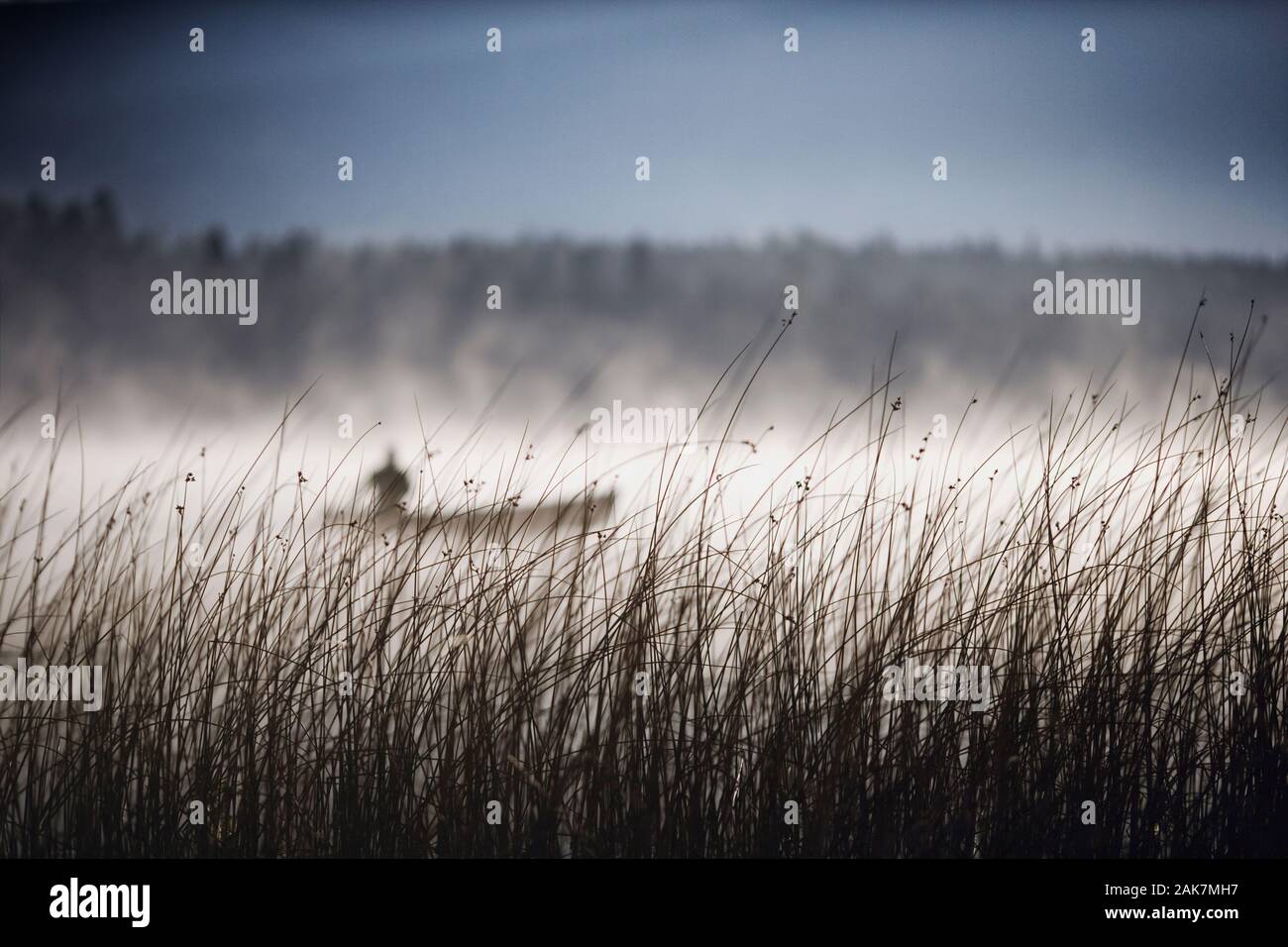 Mann im Kanu auf dem nebligen See Stockfoto