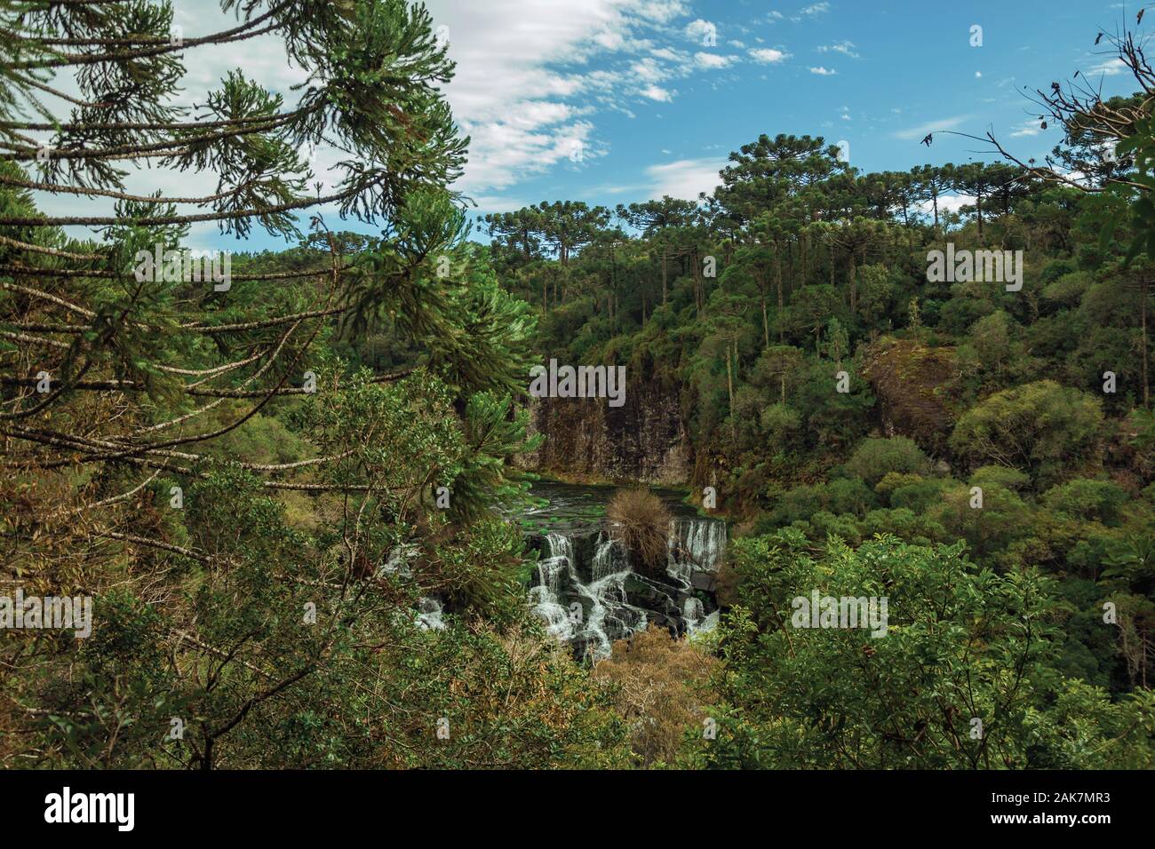 Wasserfall von einem Fluss inmitten von üppigen Wald an einem bewölkten Tag im Caracol Park in der Nähe von Canela. Eine charmante kleine Stadt im Süden Brasiliens. Stockfoto