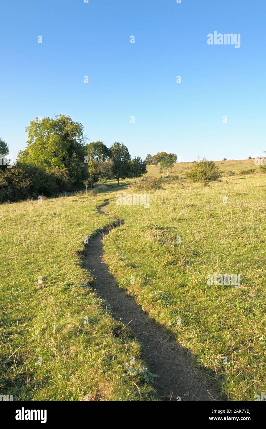 Farthing Downs, Teil der South London Downs National Nature Reserve, bestehend aus 121 Hektar Landschaft entlang der Grenze von Surrey und Croydon, Großbritannien Stockfoto