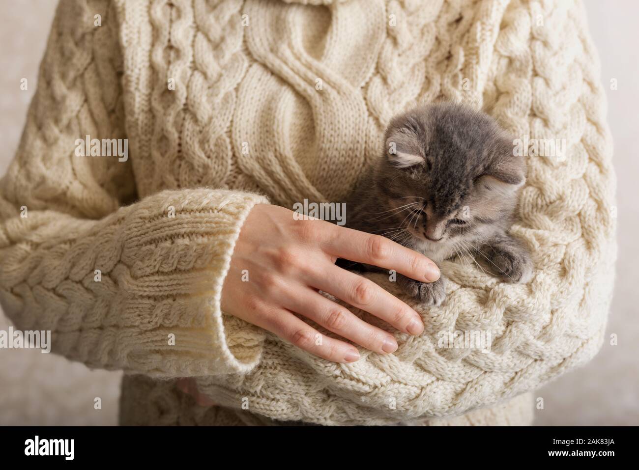 Frau mit ihrem gestreiften Katze. Grau gestreiften Kätzchen spielen mit weiblichen Hand in einem beigen Pullover. gemütliches Heim, Haustiere, kleinen niedlichen flauschige Katze gestreift. Stockfoto