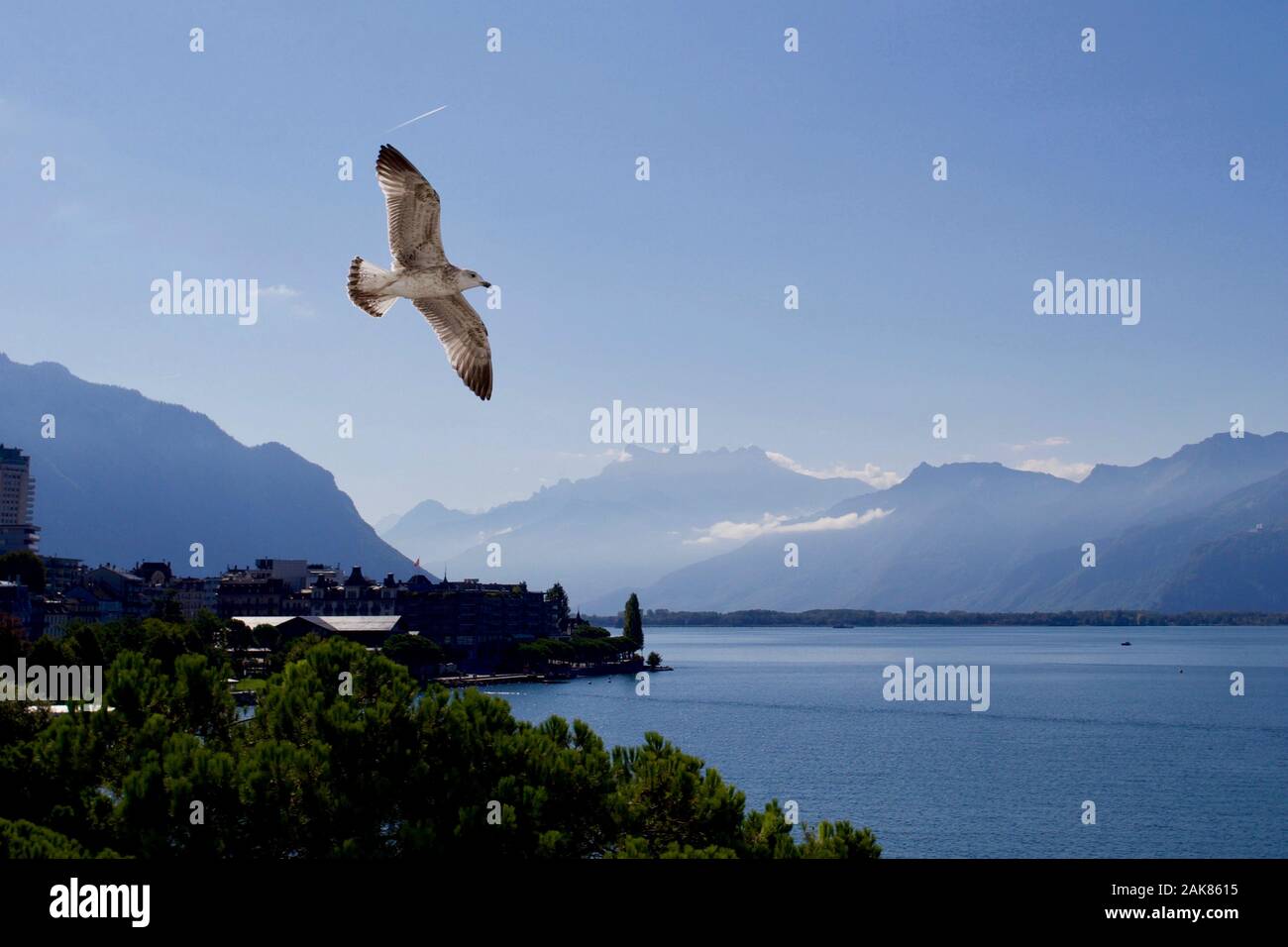 Genfer See, Montreux, Kanton Waadt, Schweiz. Stockfoto