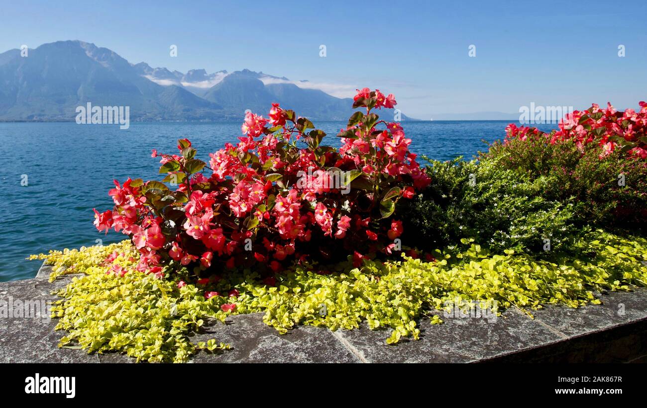 Genfer See, Montreux, Kanton Waadt, Schweiz. Stockfoto