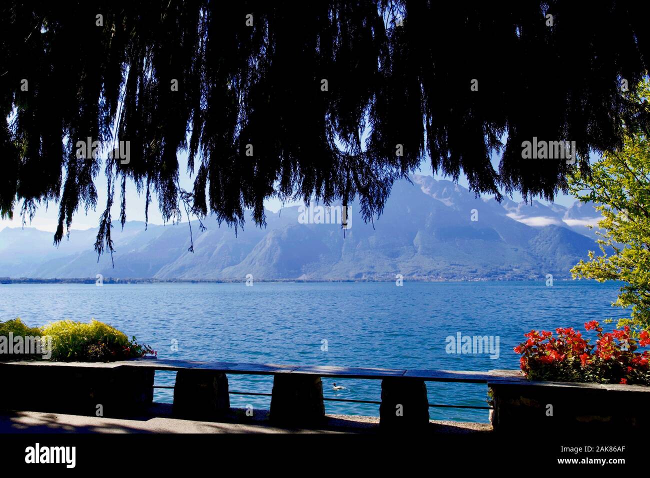 Genfer See, Montreux, Kanton Waadt, Schweiz. Stockfoto