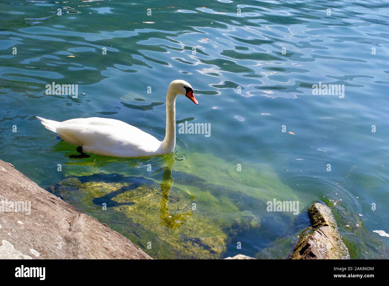 Genfer See, Montreux, Kanton Waadt, Schweiz. Stockfoto