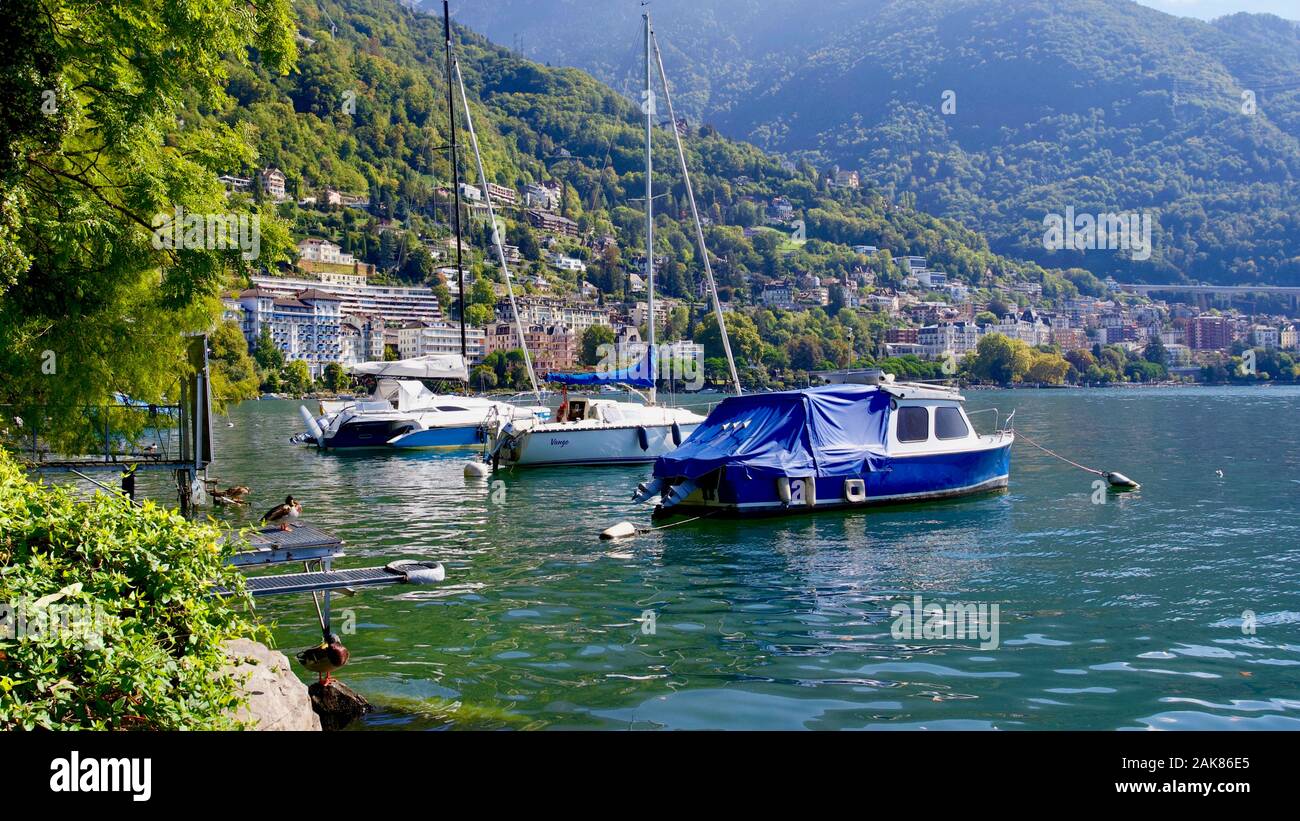 Genfer See, Montreux, Kanton Waadt, Schweiz. Stockfoto