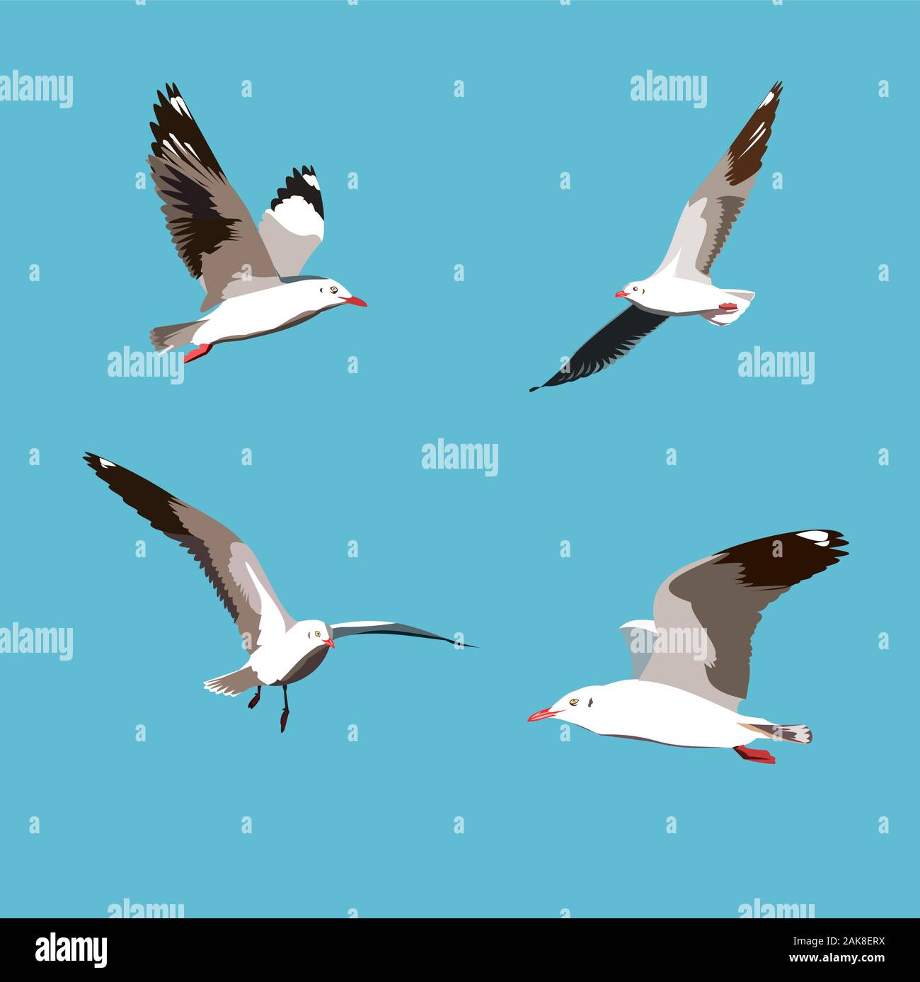 Satz von Möwe Vogel auf blauem Hintergrund fliegen, vier Seevogel fliegen auf Sky Stock Vektor