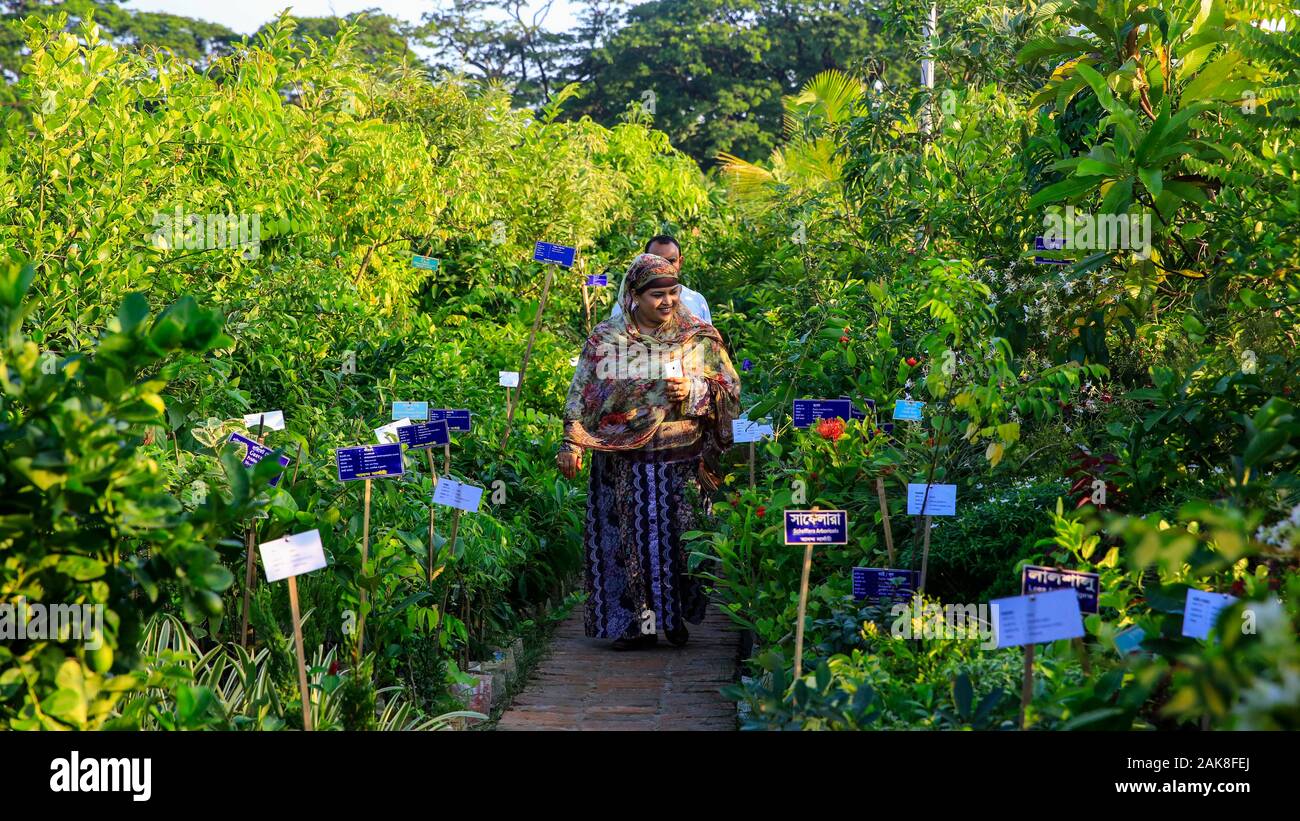 Besucher im Monat - lange Nationale Baum Fair an der Sher-e-Bangla Nagar in Dhaka, Bangladesh. Stockfoto