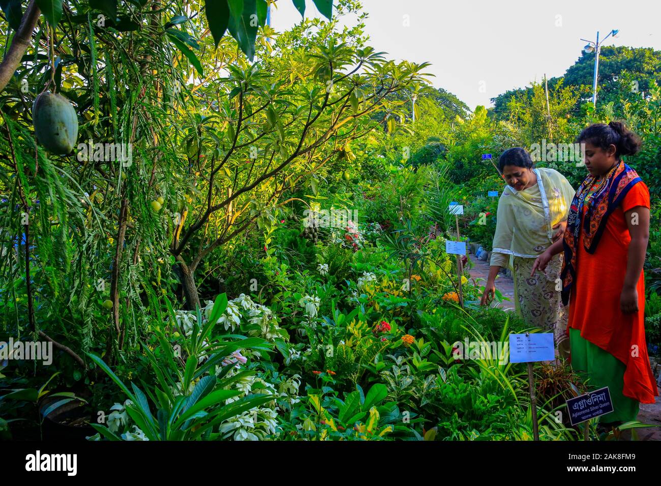 Besucher im Monat - lange Nationale Baum Fair an der Sher-e-Bangla Nagar in Dhaka, Bangladesh. Stockfoto