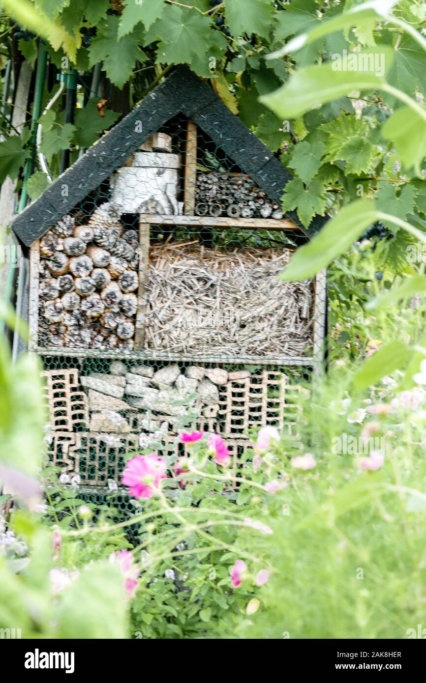 Insekt Hotel in einem üppig bewachsenen Garten versteckt Stockfoto