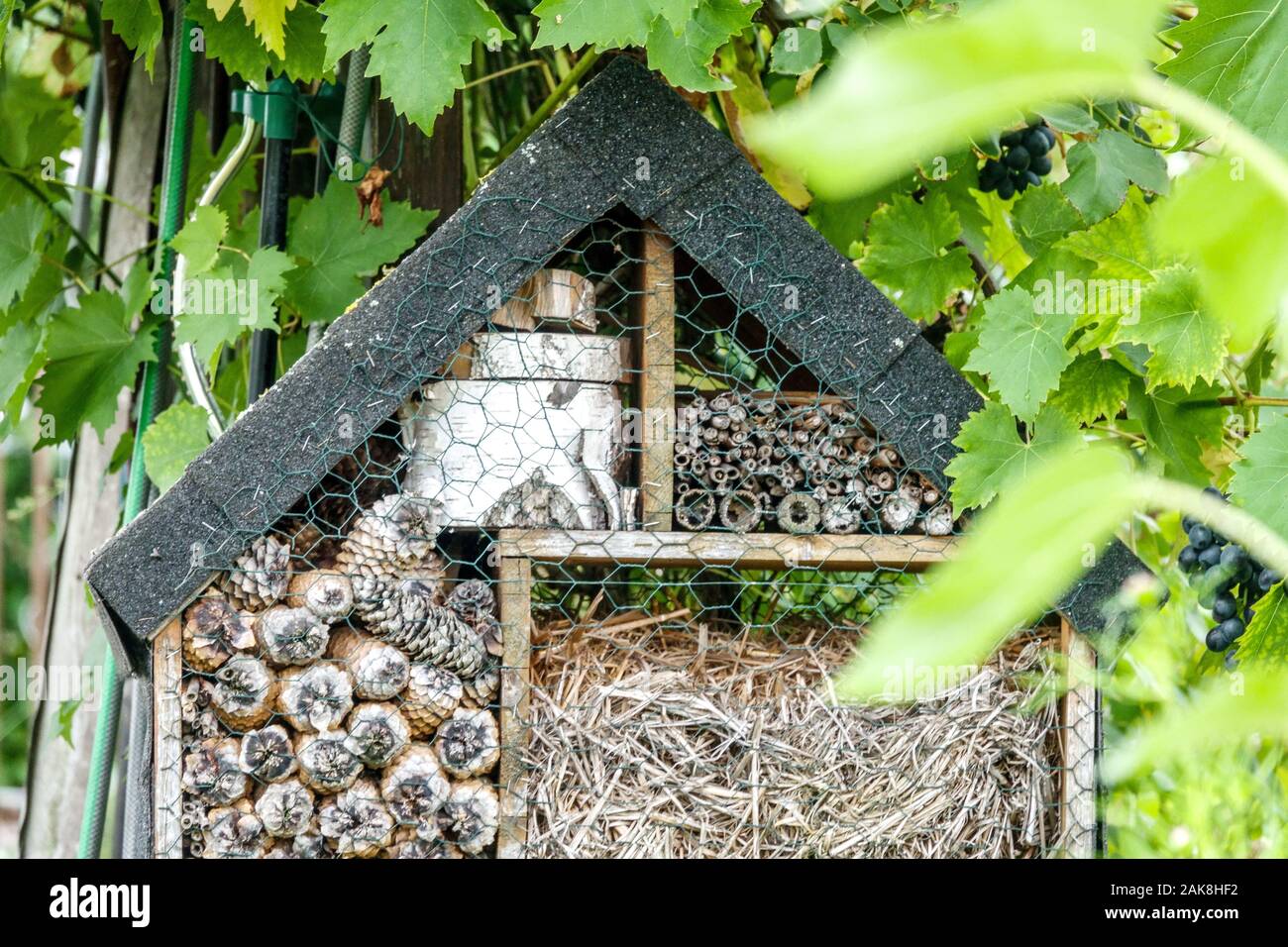 Insekt Hotel im Garten versteckt Stockfoto
