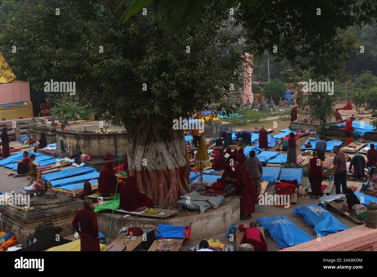 Jünger von Buddha mit Gebet im Bereich der Maha Bodhi Tempel, Stockfoto