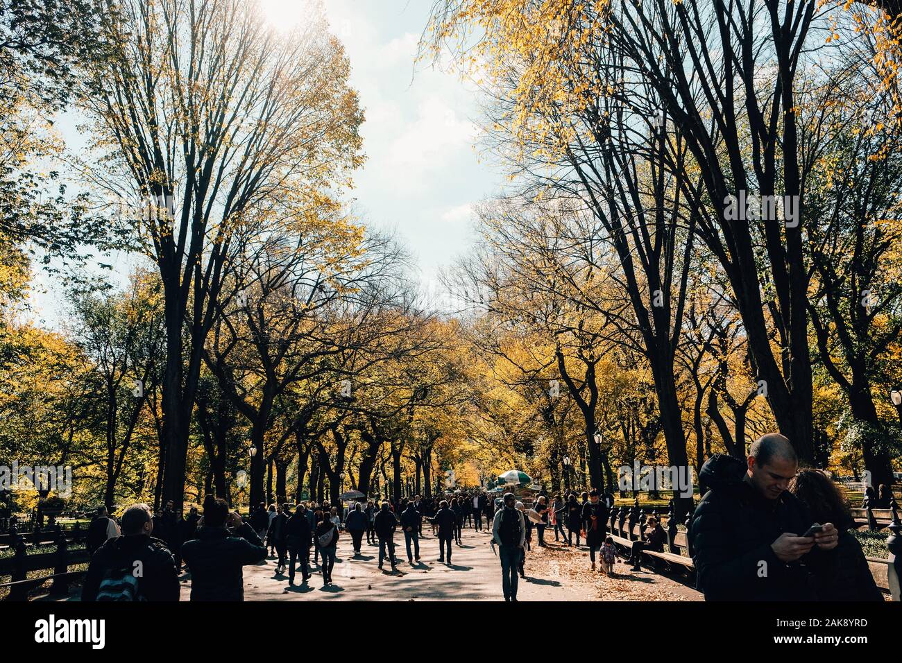 Central Park New York, Herbst Stockfoto