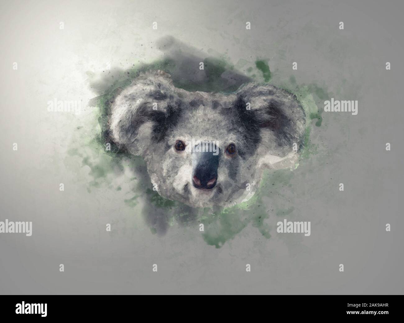 Aquarell illusration von Koala, Porträt Stockfoto