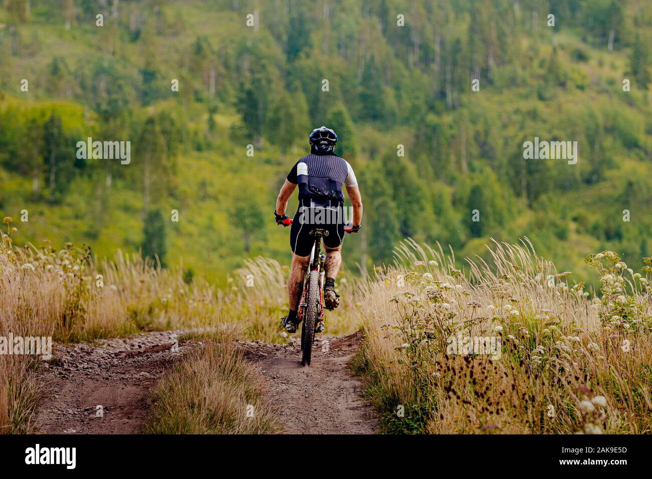 Zurück männliche Radfahrer rides Mountain Bike Trails auf Hintergrund wald landschaft Stockfoto